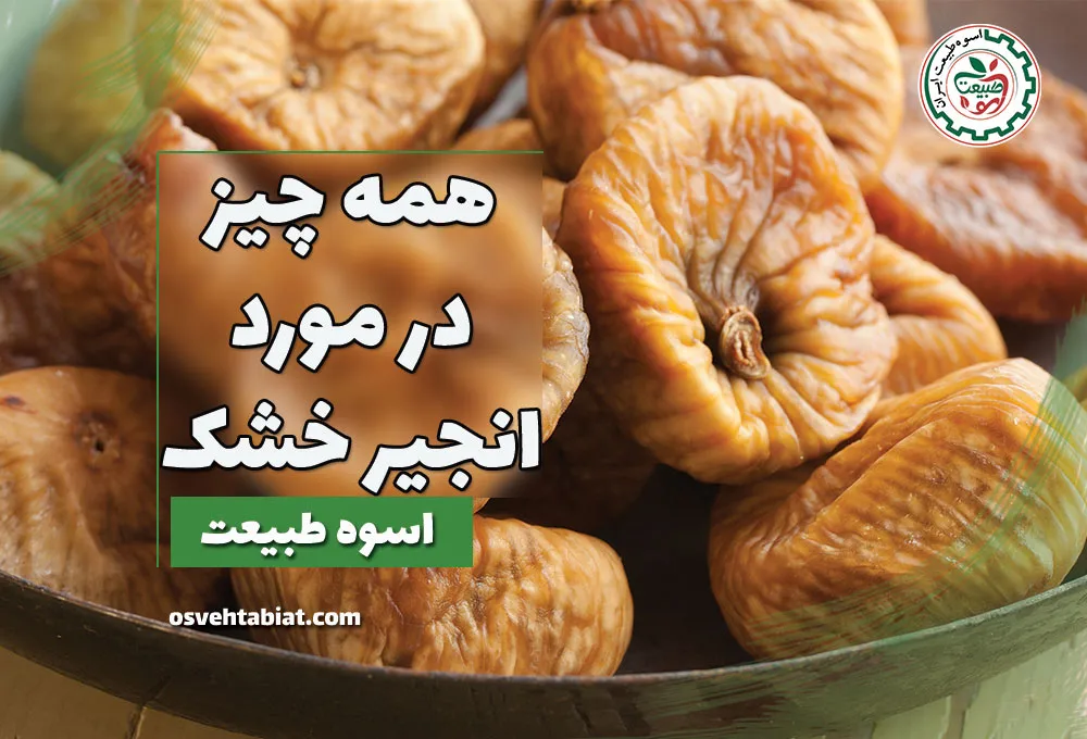 همه چیز درباره انجیر خشک و انجیر تازه