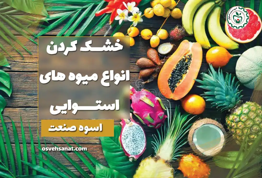 خشک کردن انواع میوه های استوایی