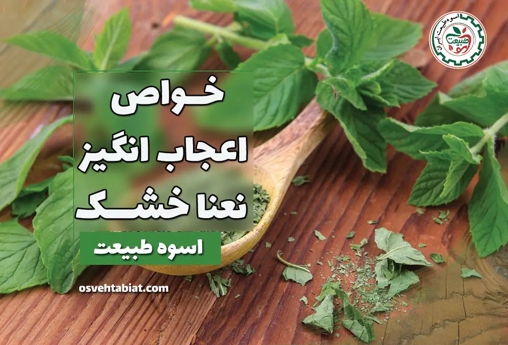 خواص اعجاب انگیز نعنا خشک