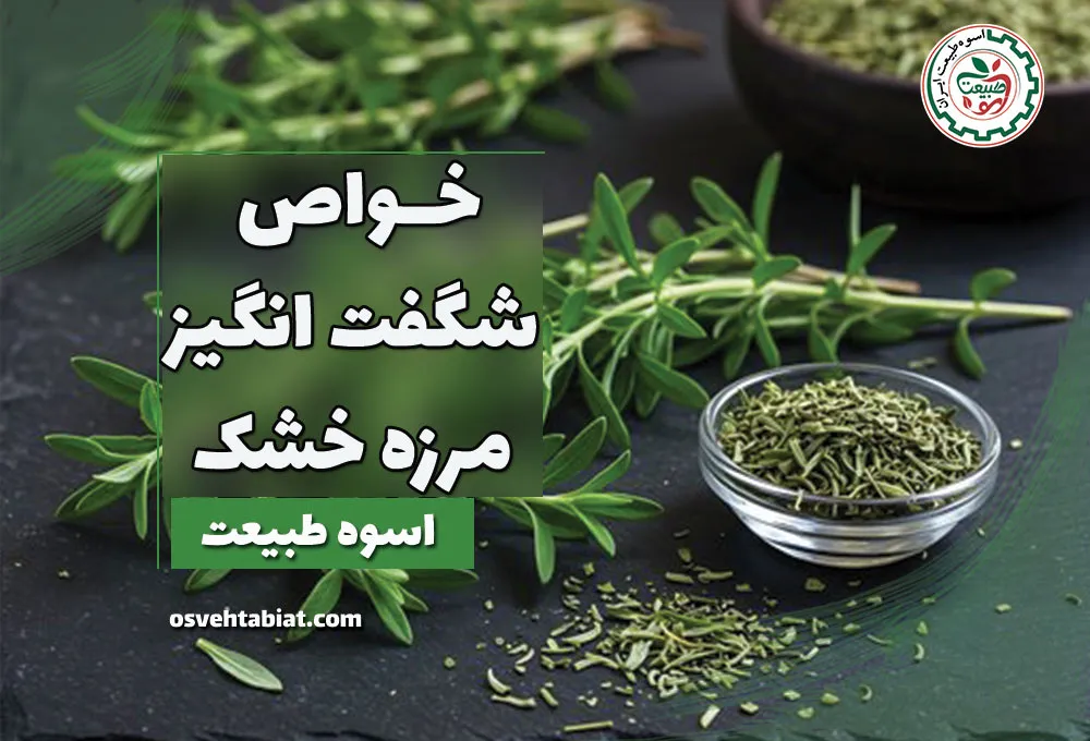 خواص مرزه خشک